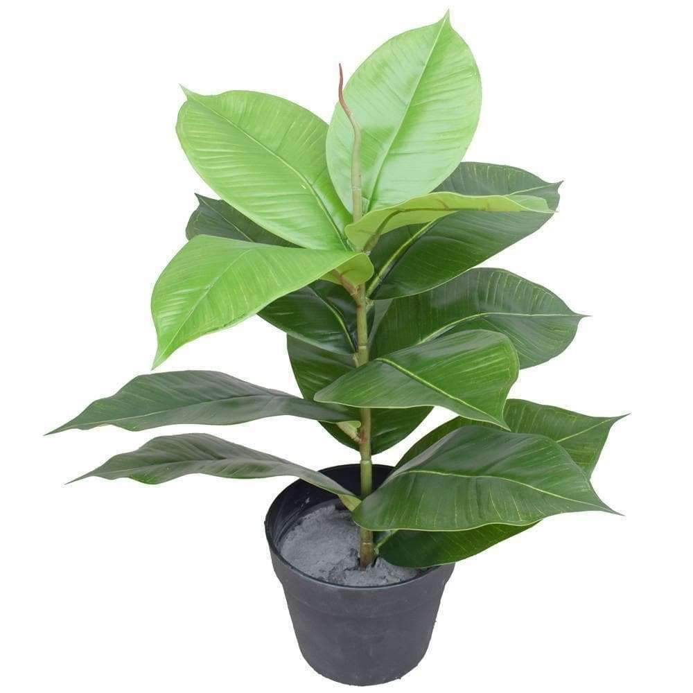 Artificial Potted Rubber Plant 55 Cm -