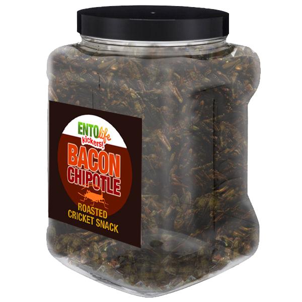 Bacon Chipotle Flavored Cricket Snack - Pound Size - BACON? THE BREAKFAST FOOD OF CHAMPIONS! -