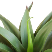 Thumbnail for Artificial Agave 50cm No Pot UV Resistant -