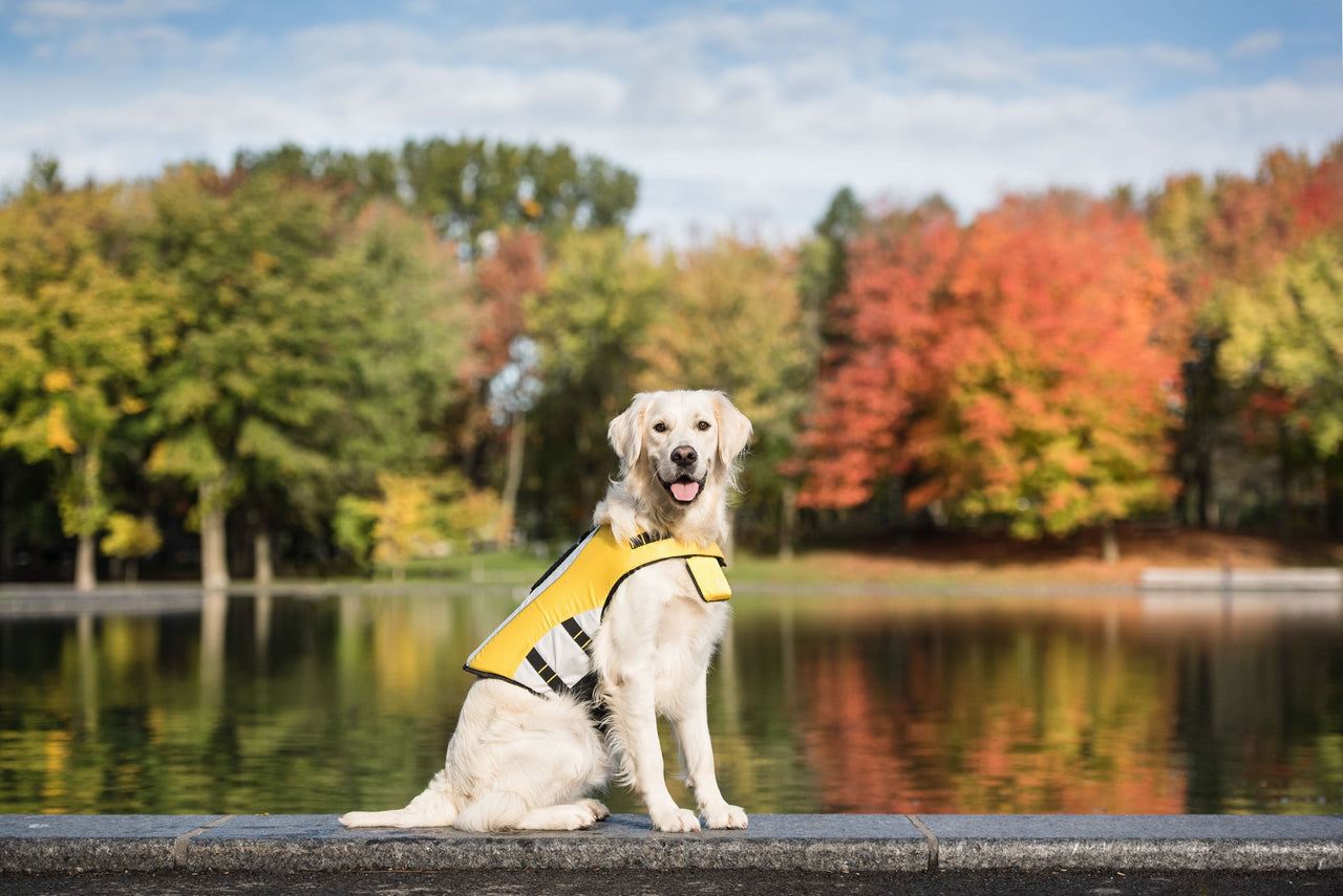 Life Vest - Dog Life Jacket - 1 SAFETY COLOR - 5 SIZES -