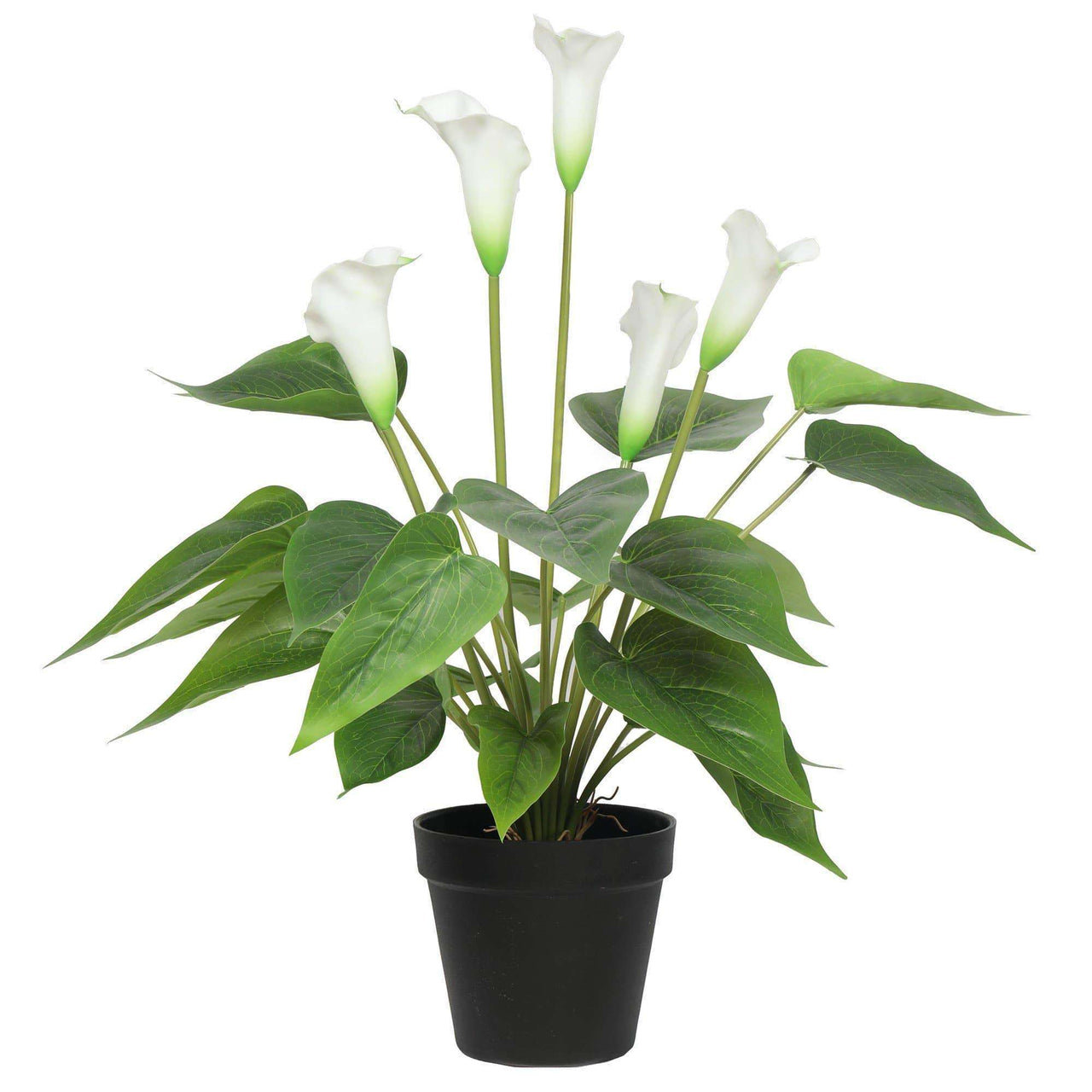 Artificial Flowering White Peace Lily / Calla Lily Plant 50cm -