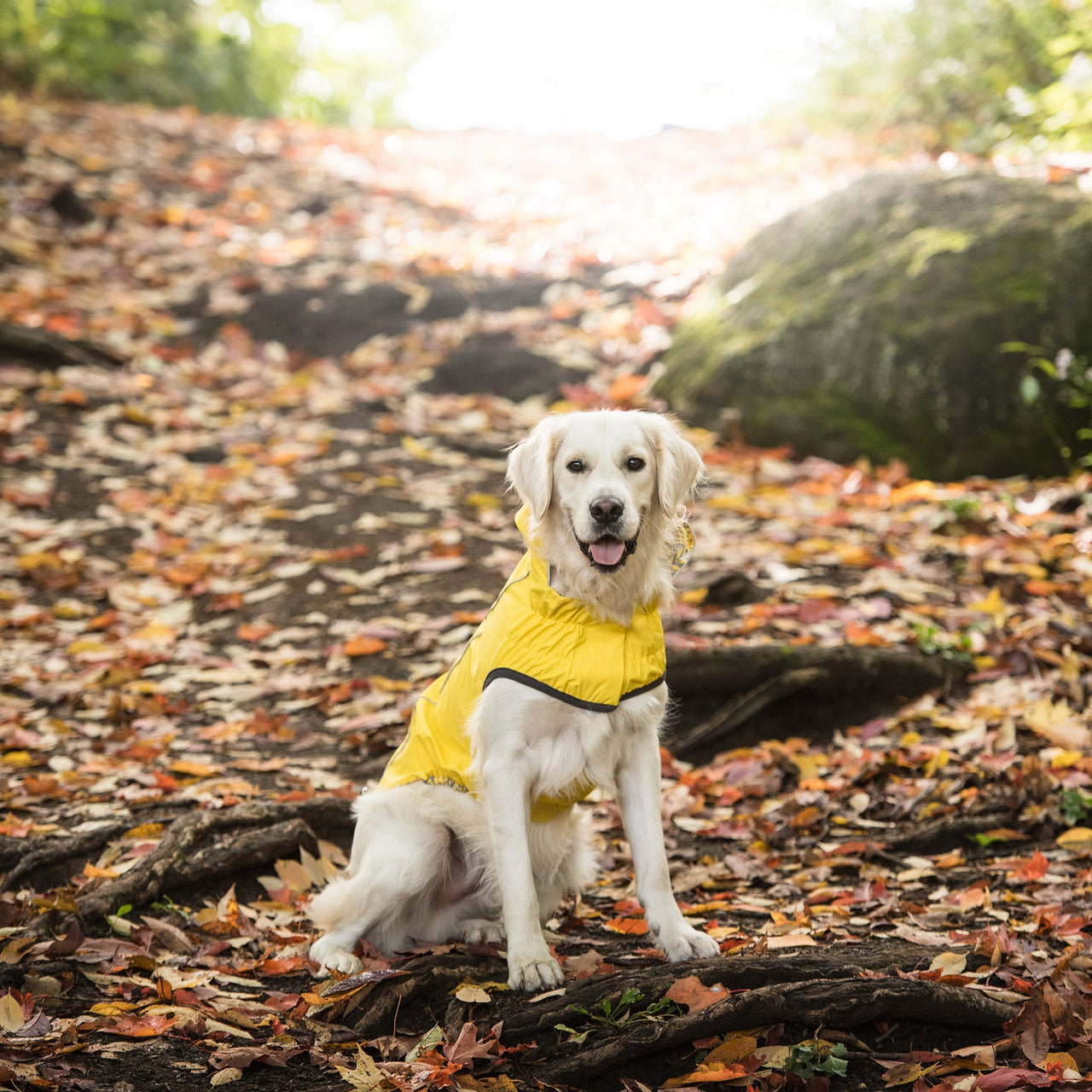 Reversible Elasto-Fit Raincoat - Yellow - 9 SIZES -