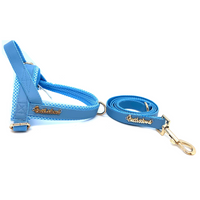 Thumbnail for Puccissime - Maya Blue Leash -