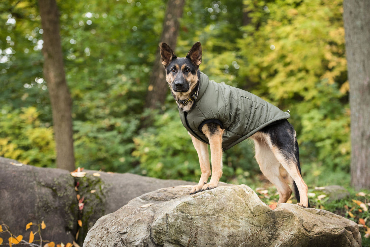 US Army Dog Parka - Dark Camo - 5 SIZES -