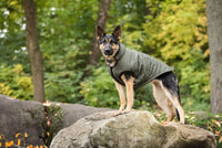 Thumbnail for US Army Dog Parka - Dark Camo - 5 SIZES -