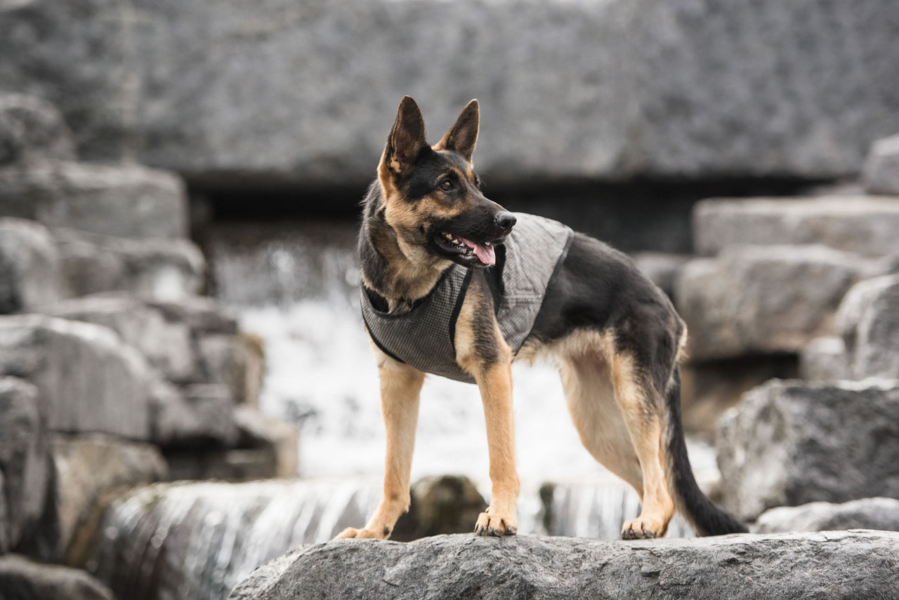 US Army Dog Cooling Vest - Grey - 5 SIZES -