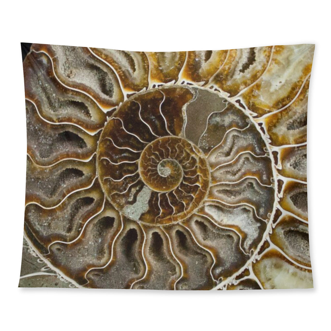 OOTO - Wall Tapestry - AMONITE - 3 SIZES -